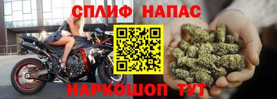 шишки Апшеронск