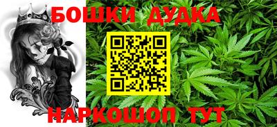 шишки Апшеронск