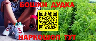 шишки Апшеронск