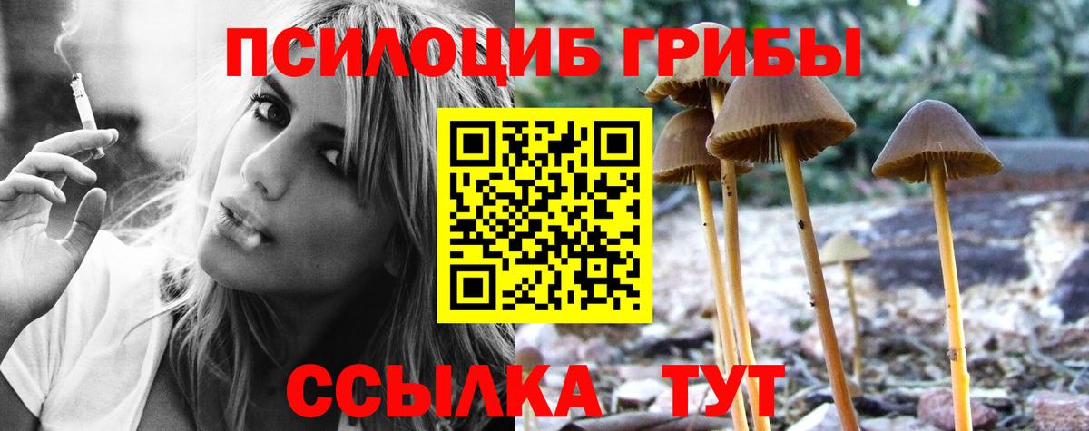 Псилоцибиновые грибы мухоморы  Вход с VPN  Видное 